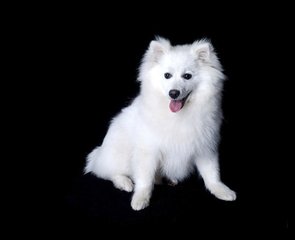 小狐狸钱包|(MetaMask)钱包安卓版